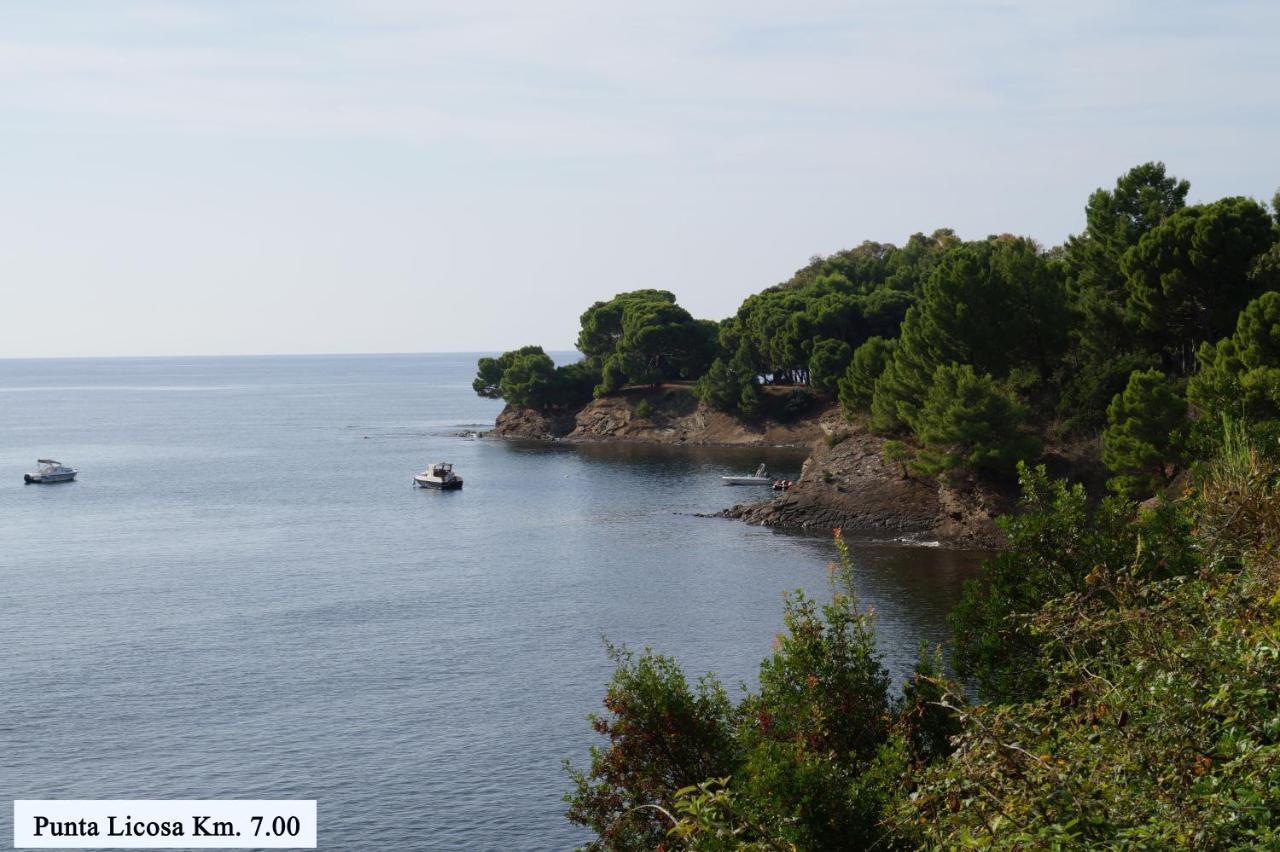 Micheletto Villa Perdifumo Dış mekan fotoğraf